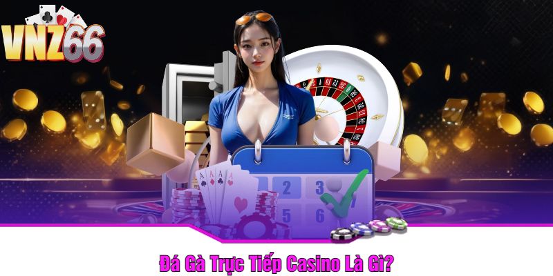 Đá Gà Trực Tiếp Casino Là Gì?