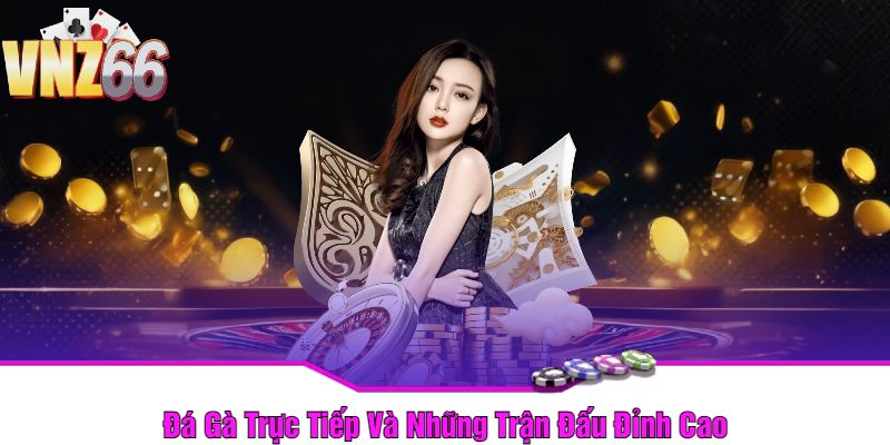 Đá Gà Trực Tiếp Và Những Trận Đấu Đỉnh Cao