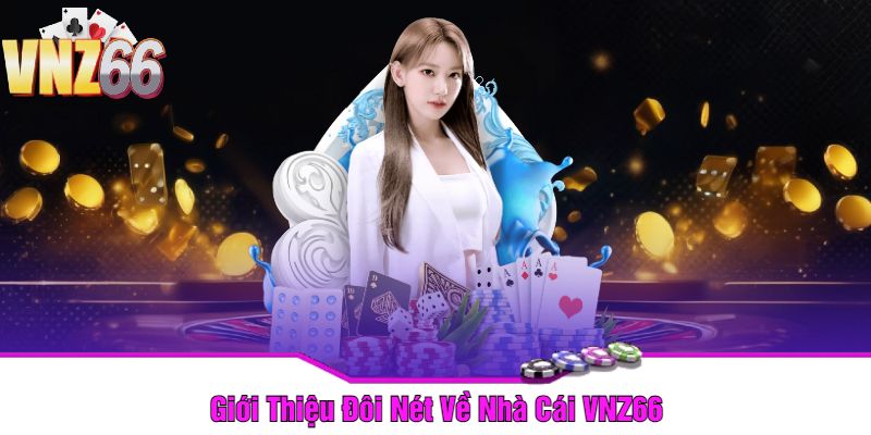 Giới Thiệu Đôi Nét Về Nhà Cái VNZ66