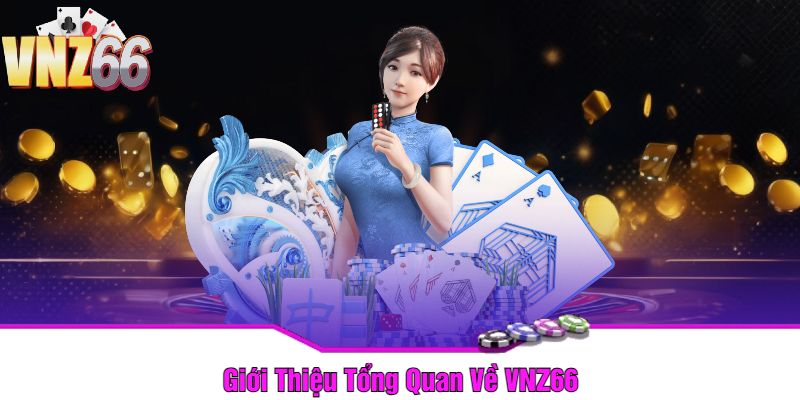 Giới Thiệu Tổng Quan Về VNZ66