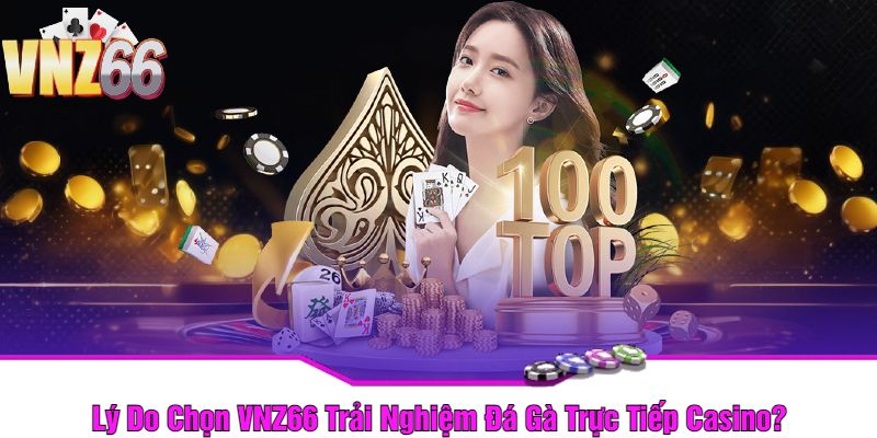 Lý Do Chọn VNZ66 Trải Nghiệm Đá Gà Trực Tiếp Casino?