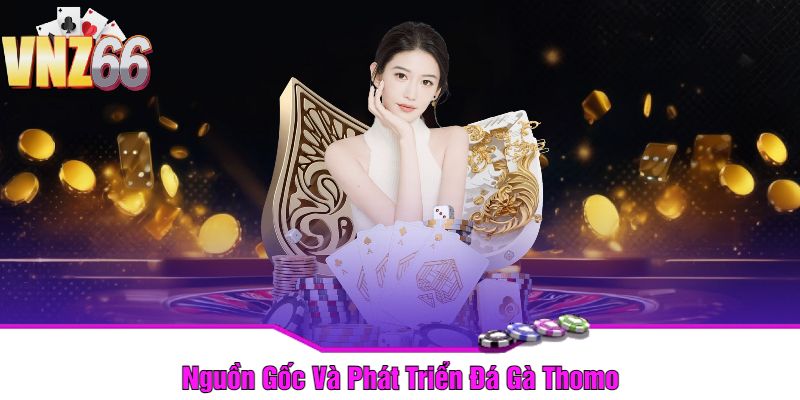 Nguồn Gốc Và Phát Triển Đá Gà Thomo