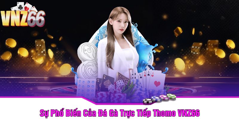 Sự Phổ Biến Của Đá Gà Trực Tiếp Thomo VNZ66